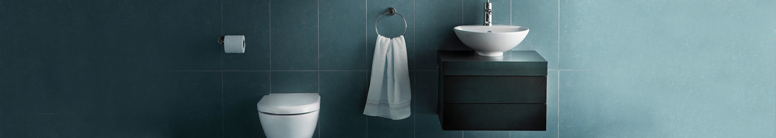 sanitaire